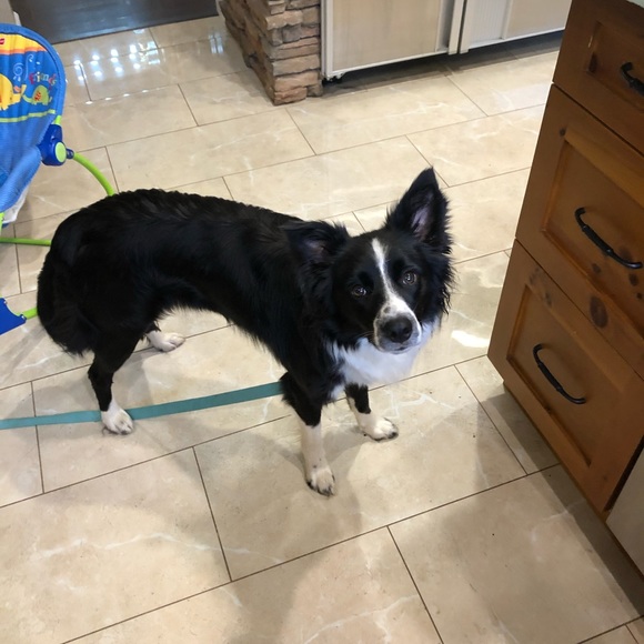 Meet your Posher, Kaitlyn - Picture 1 of 1